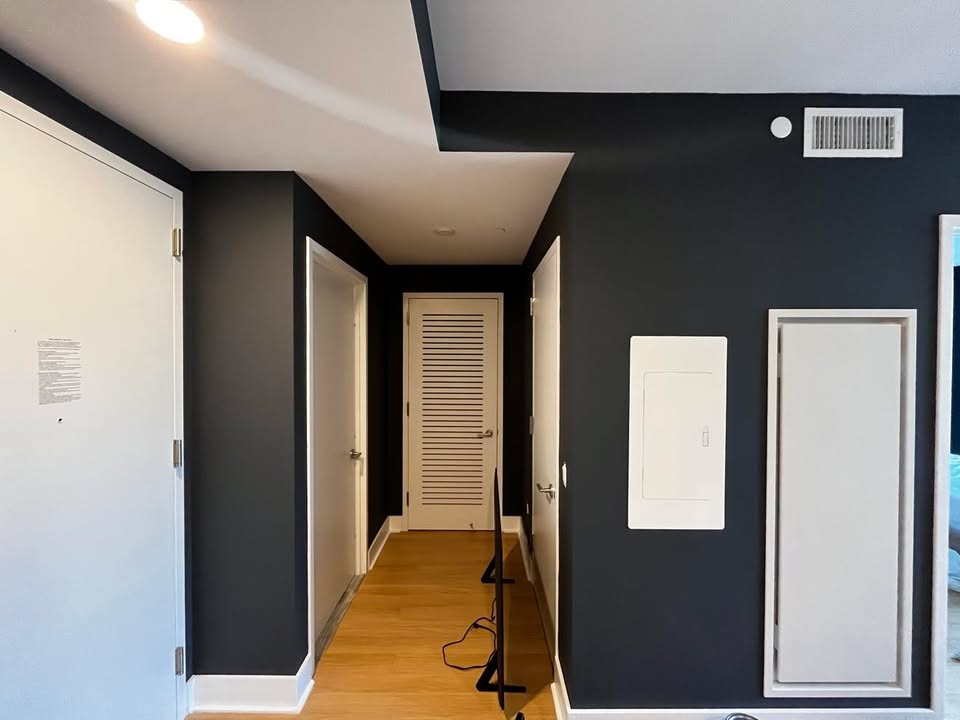 Sariuna INC painting project